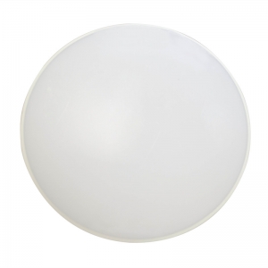 IP60 Frameless Plastic Ceiling Lamp