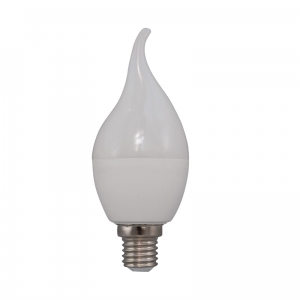 LED Flame Bulbs